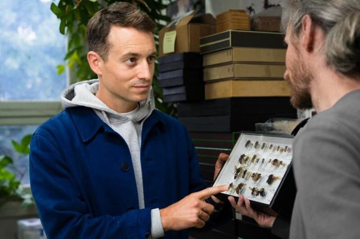 Hugo Clément regardant différents insectes naturalisés, parmi lesquels figurent le frelon asiatique